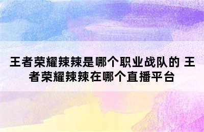 王者荣耀辣辣是哪个职业战队的 王者荣耀辣辣在哪个直播平台